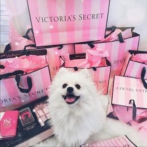 NEW mystery box Victoria secret/PINK lot